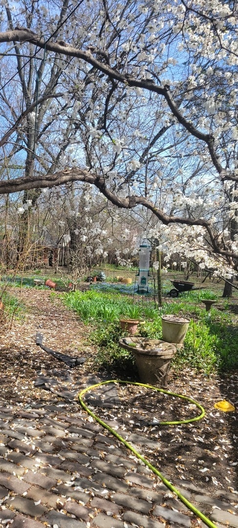 Building Photo - 6921 Clarendon Hills Rd