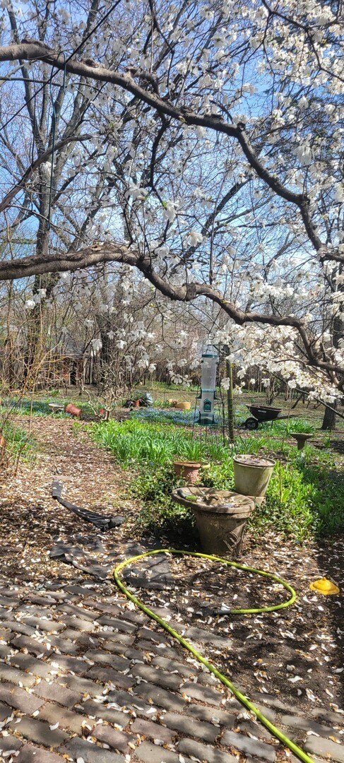 Foto del edificio - 6921 Clarendon Hills Rd