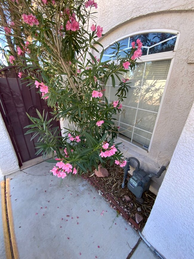 Building Photo - FLAMINGO & FORT APACHE TOWNHOME LIVING WIT...