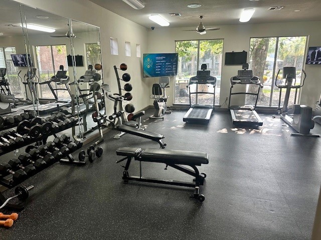 24 hour Fitness Center - The Boulevard at Deer Park