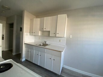 Cuisine rénovée - Style Manor