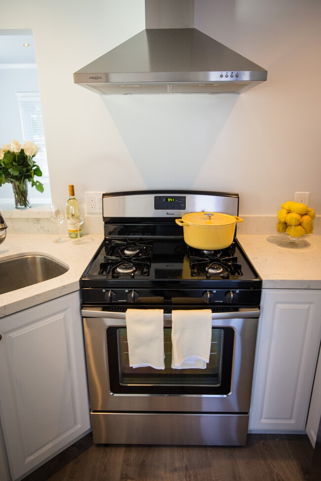 New Stainless Steel Gas Oven. - 652 N Marengo Avenue