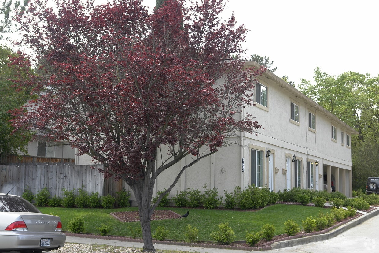 763 Palomino Dr, Pleasanton, CA 94566 Apartments in Pleasanton, CA