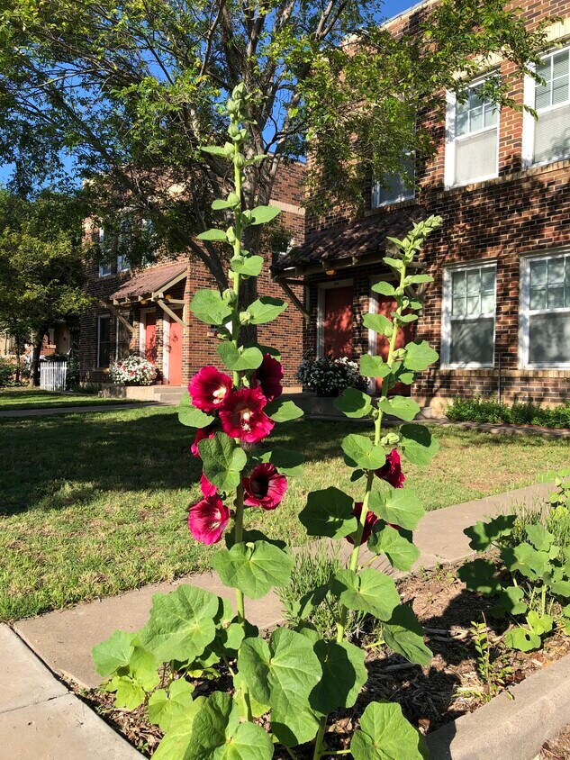We like seasonal colors - 1712 S Van Buren St