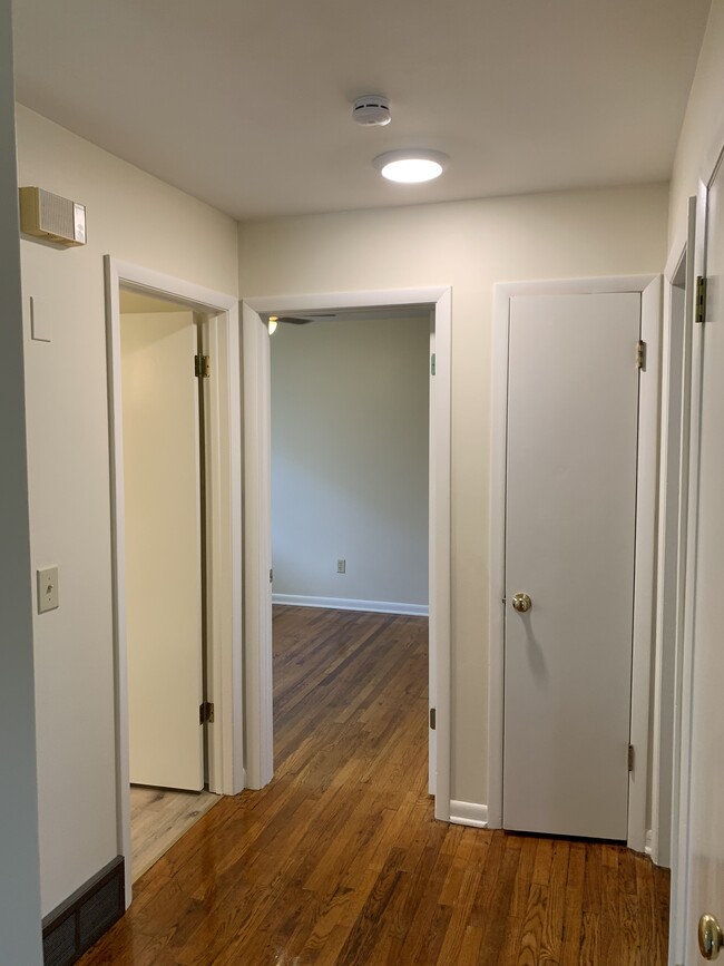 Hallway - 2519 Parkwood Ave