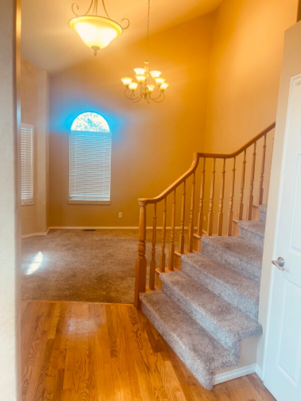 Building Photo - 327 Sandy Land Ln