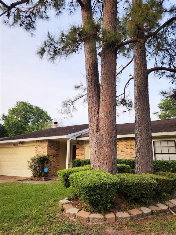 Building Photo - 2807 Quail Run Dr