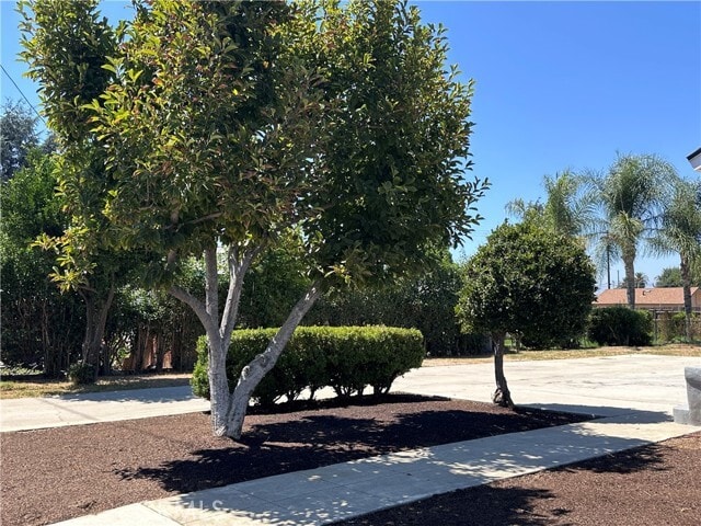 Foto del edificio - 565 E 12th St