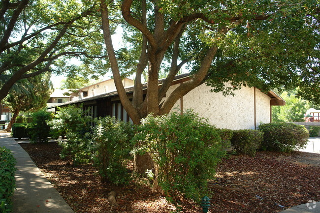 Building Photo - Cedar Grove Apartments