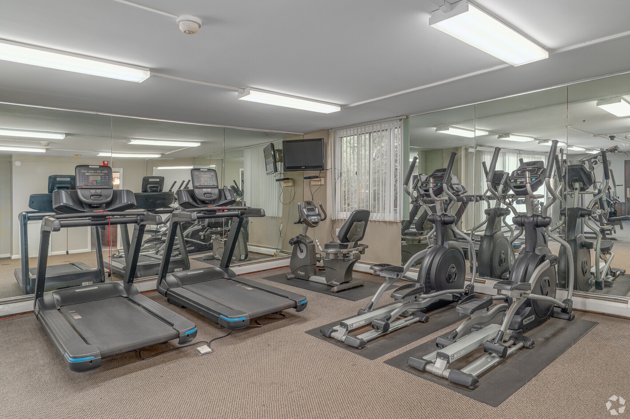 Westbury Apartments – photo 4