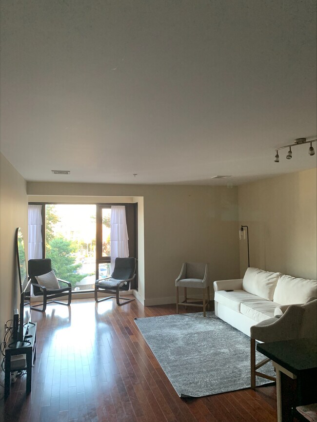 living room - 533 Cambridge St