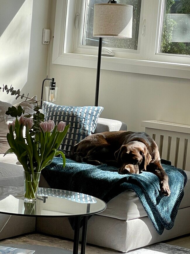 Building Photo - 218 Wheeler Av