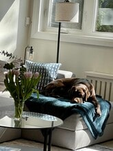 Building Photo - 218 Wheeler Av