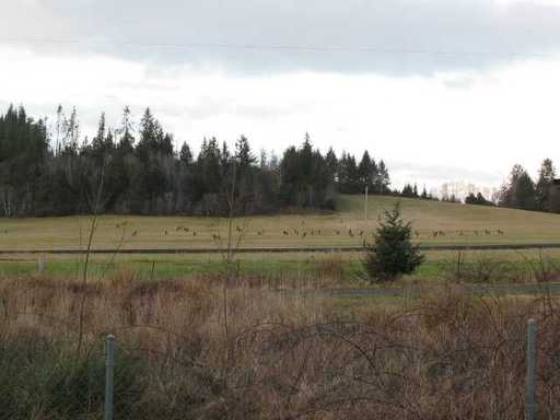 Building Photo - 90635 Highway 202