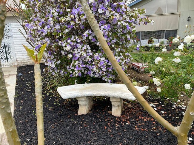 Foto del edificio - 3 BEDROOM 2 BATH RECENTLY REMODELED ORANGE...