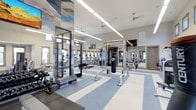 This fitness center offers a spacious, single-floor layout designed to accommodate a wide range of workout routines. The facility features soaring high ceilings that create an open, airy atmosphere, complemented by bright linear LED lighting and a ceiling fan that help maintain a comfortable environment during exercise. The flooring consists of a distinctive blue and white striped design, lending the space a clean, professional aesthetic.

The strength and functional training area is well-appointed, featuring a multi-use cable and resistance training rack, TRX suspension training system, and a heavy punching bag, providing ample options for functional fitness and conditioning. Step platforms and free weights are also available for varied workout programming. Floor-to-ceiling mirrors line sections of the walls, enhancing the sense of space while allowing users to monitor their form.

A dedicated cardio zone is visible through glass partitions, housing a row of treadmills and additional cardio machines, offering a focused environment for endurance training. Wall-mounted flat-screen televisions are strategically placed throughout the facility. Natural light filters in through windows positioned along the upper walls, adding to the bright and energizing ambiance. The overall design reflects a modern, purpose-built fitness facility suited for diverse training needs.