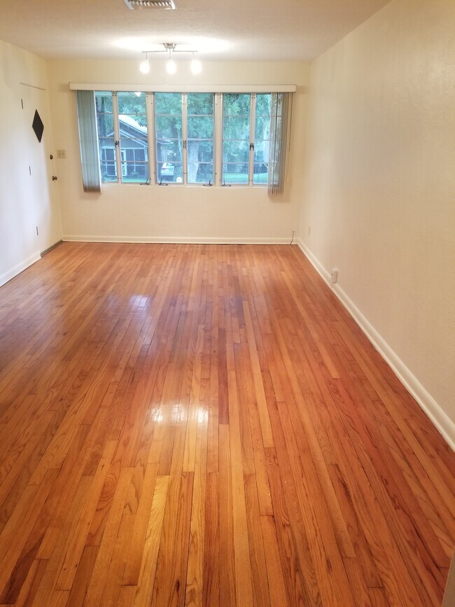 Living rm/ dining room - 703 Palmer St