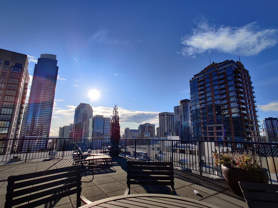 Rooftop Deck - 1323 Boren Ave