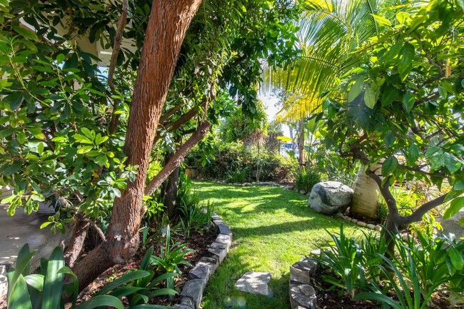 front yard - 136 N Lincoln Ave