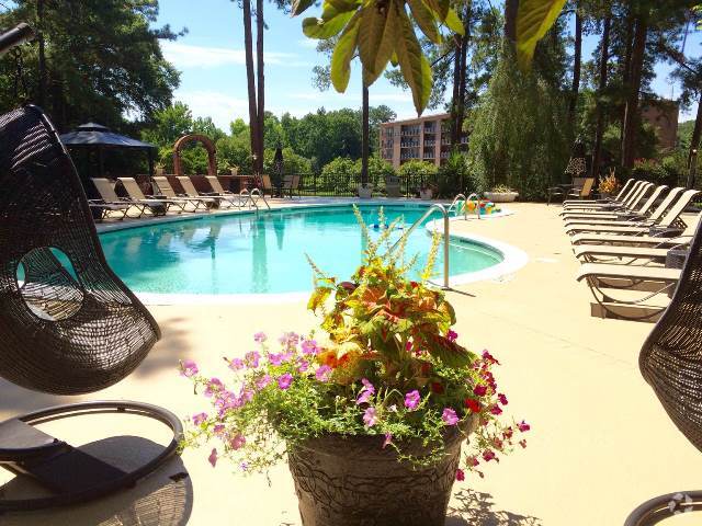 Studio Apartment Yahoo Answers studio apartments for rent in columbia sc | apartments Studio Apartment Yahoo Answers studio apartments for rent in columbia sc | apartments