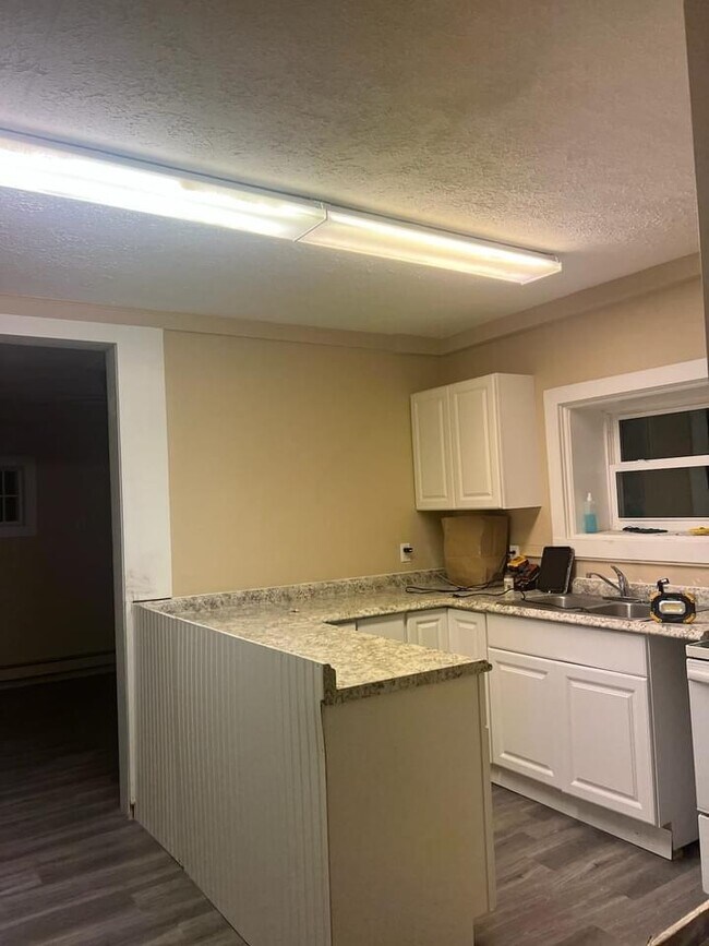 14 Battle St, Dansville, NY 14437 Townhouse for Rent in Dansville, NY