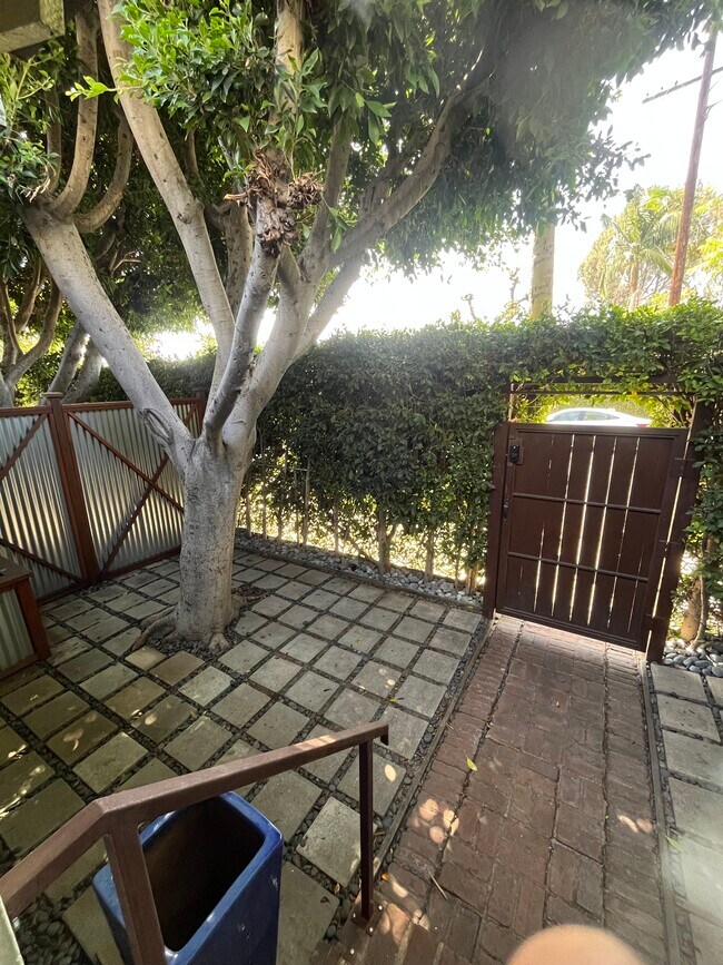 Jardín delantero - 1318 N McCadden Pl