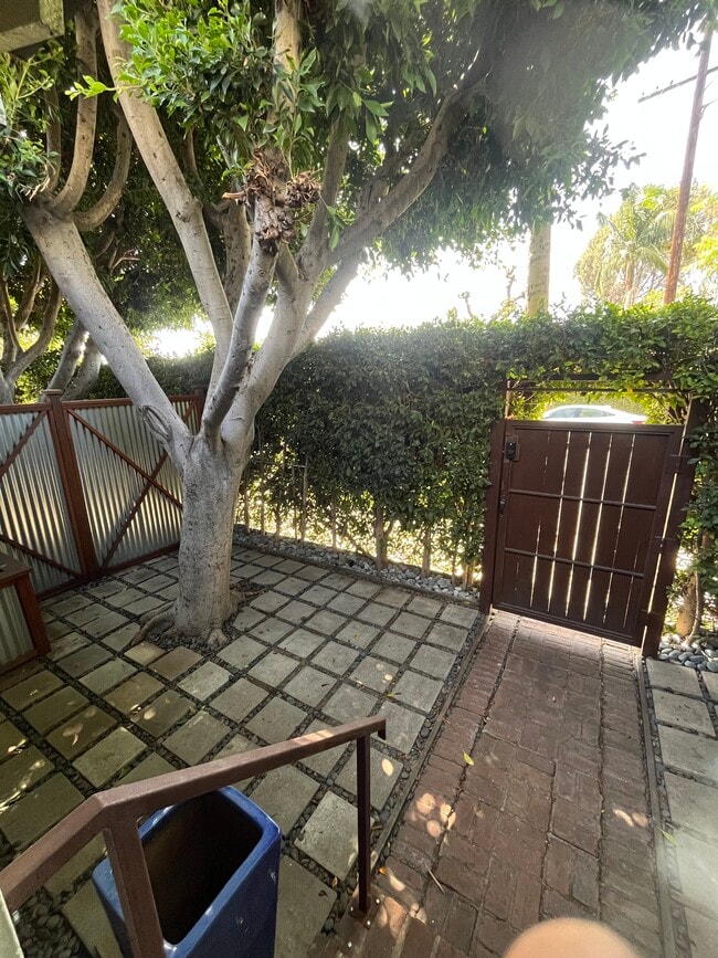 Front yard - 1318 N McCadden Pl