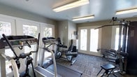 This single-floor fitness space is designed to provide a functional workout environment within a compact, well-organized layout. The room is finished with neutral taupe-toned walls that create a clean, focused atmosphere conducive to exercise. Durable modular carpet tiles in a mixed grey pattern cover the floor throughout, offering both comfort underfoot and practical resilience for gym use.

Overhead, fluorescent panel lighting ensures consistent, bright illumination across the entire space. Multiple windows along one wall allow natural light to filter in, offering views of surrounding greenery and contributing to an open, airy feel despite the room's modest size. Two sets of French doors provide additional light and convenient access points, enhancing the sense of connectivity to the exterior.

The fitness area is equipped with a variety of cardio machines, including a treadmill and a recumbent stationary bike, positioned to take advantage of the natural light from the windows. A weight or resistance machine is situated near the French doors on the opposite side, rounding out the equipment offerings. A wall-mounted unit, likely a small storage or first aid station, is also present. Overall, the space is efficiently arranged to maximize usability.