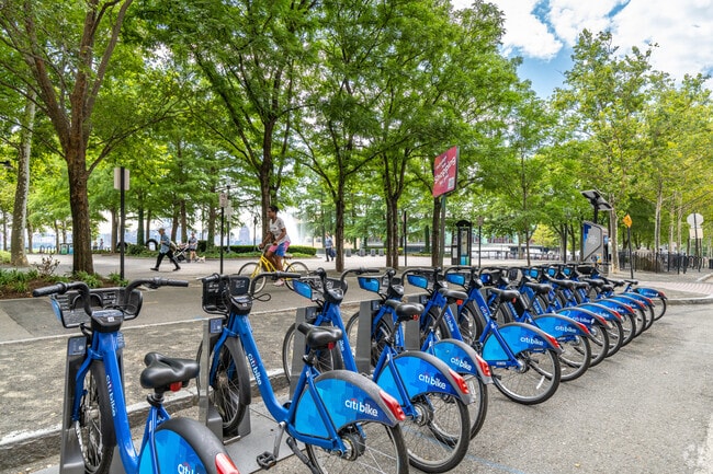 A Citi-Bike station in the Park