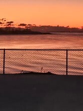 Building Photo - 24 Littlefield Ave