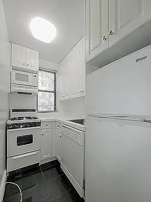 Building Photo - 241 E 46th St