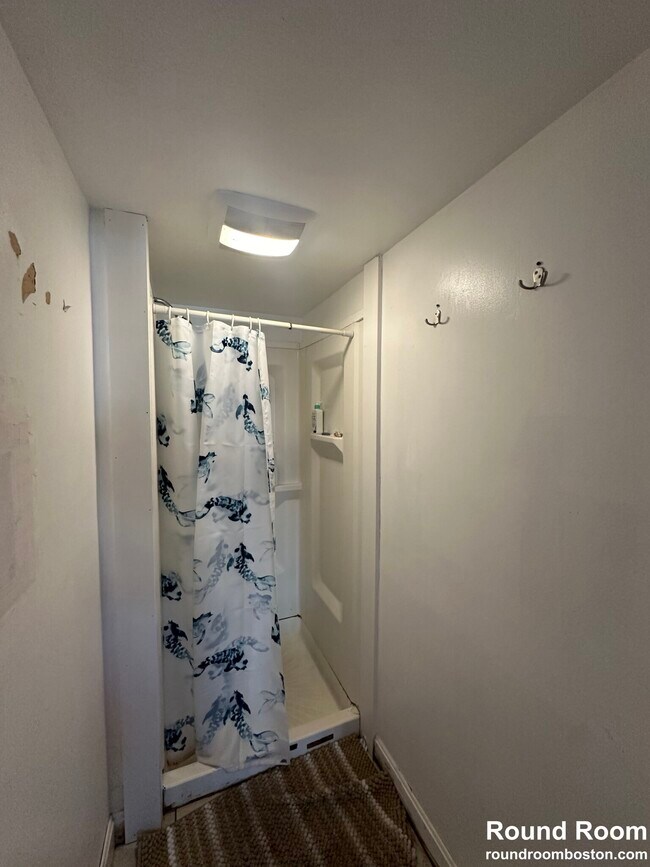 4 Folsom Ave Unit 1, Boston, MA 02120 Apartments in Boston, MA