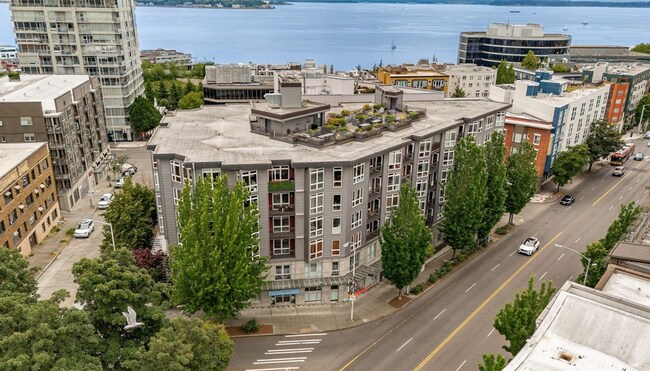 Building Photo - Stunning 1 bed condo in desirable Belltown...