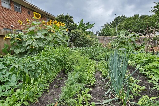 Foto del edificio - 8807 Timberside Dr