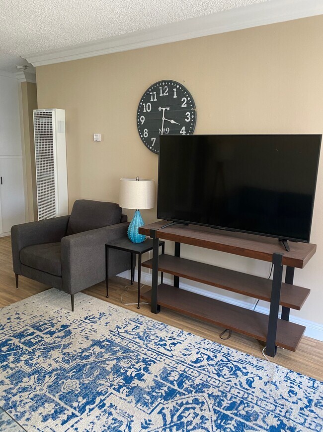 Fully Furnished Common Living Areas - 912 S Juanita Ave
