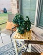 Primary Photo - 516 Karey Dr