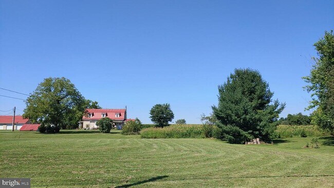 Foto del edificio - 52 Pear Rd