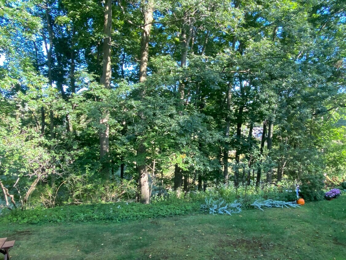 back yard overlooks Cazenovia Creek - 6 Woodbrook Dr