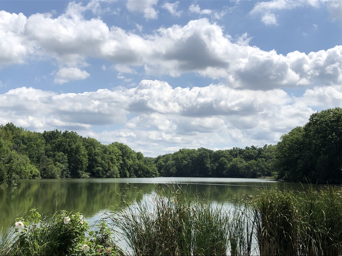 Lago Shaker - 12618 Mount Overlook Ave