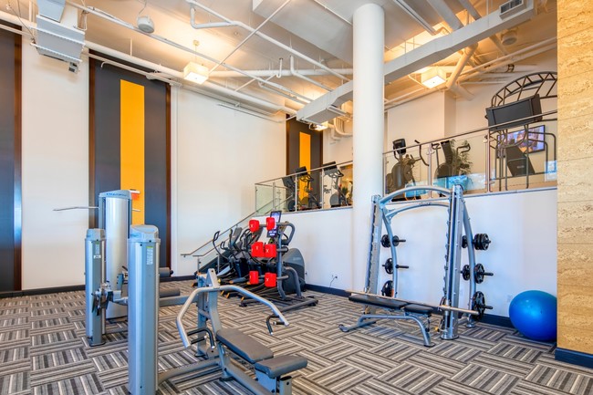 Fitness Center - Halstead Square - Lofts & Lotus