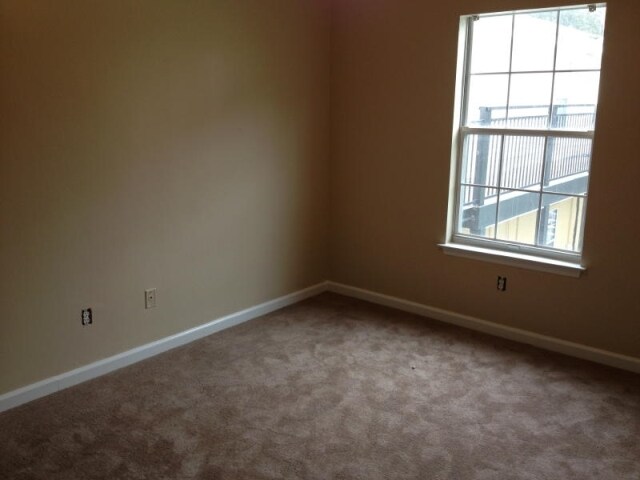 Pensacola Station Apartments Tallahassee Fl Apartments Com Pensacola Station Apartments Tallahassee Fl Apartments Com