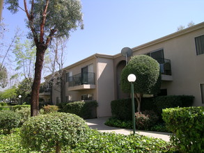 Tierra Del Sol Apartments photo'