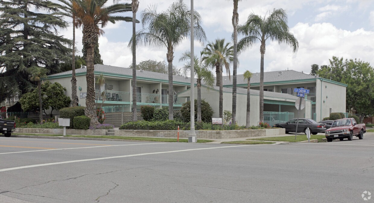 Primary Photo - The Palms
