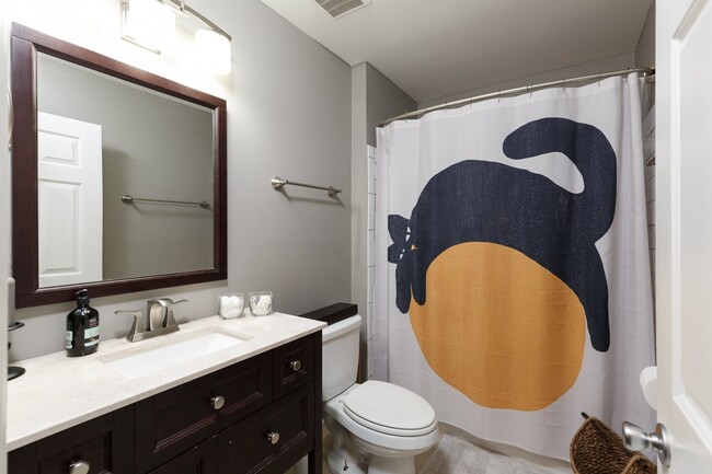 Building Photo - 905 Preston Ct