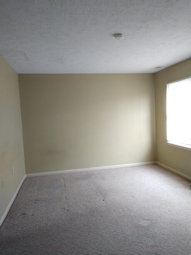 Building Photo - 5306 Mulberry Ct