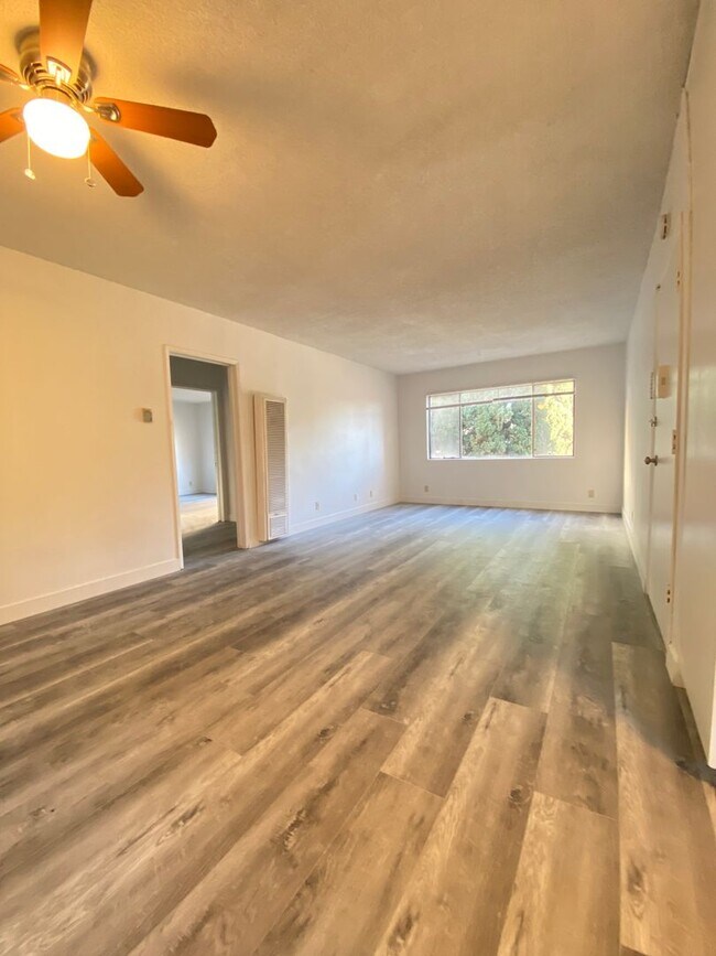 Interior Photo - 351 Plymouth St