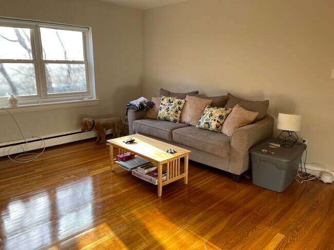 Las imágenes son muestras representativas de la unidad anunciada. En algunos casos, las unidades reales que visita... - 43 Selkirk Rd