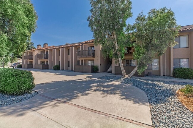 Interior Photo - The Vine Apartments