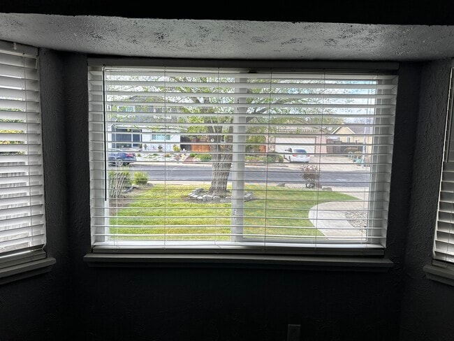Living room window - 4864 Chablis Ct