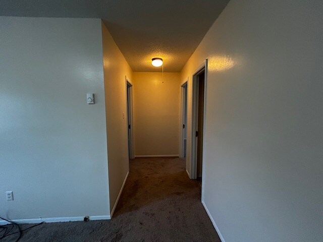 Foto del edificio - 3600 Cannan Forest Dr